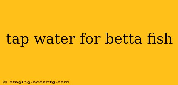 tap water for betta fish