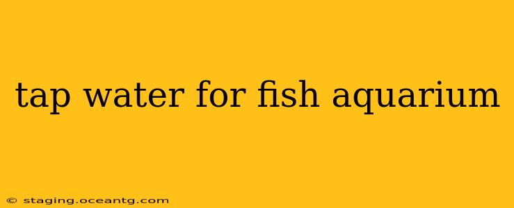 tap water for fish aquarium