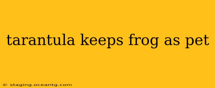 tarantula keeps frog as pet