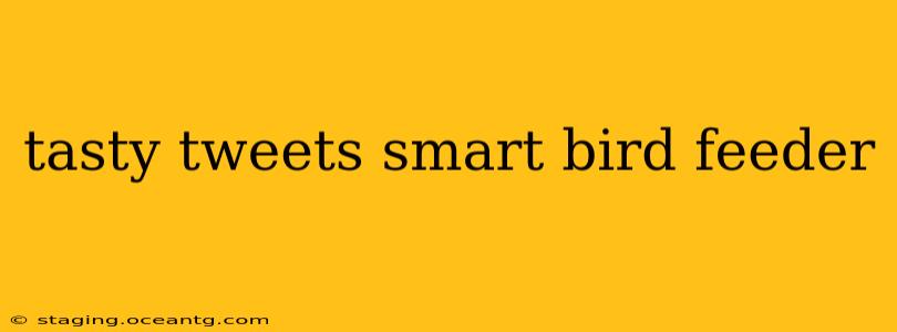 tasty tweets smart bird feeder