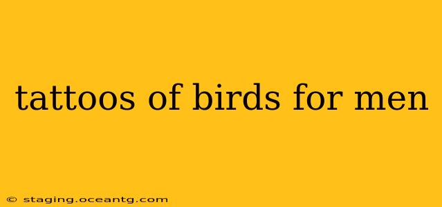 tattoos of birds for men