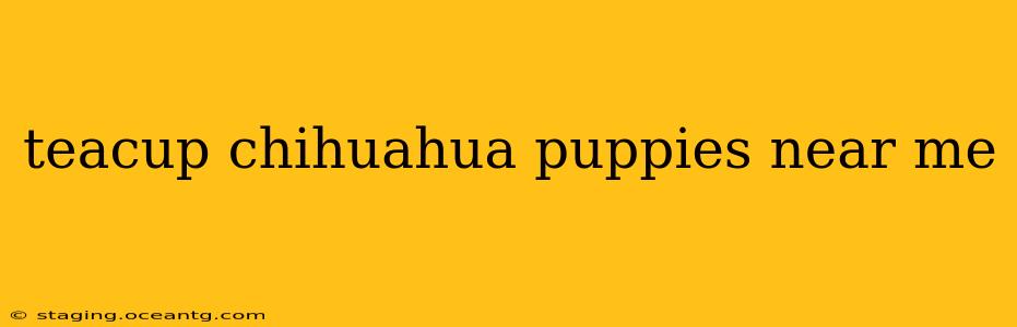 teacup chihuahua puppies near me