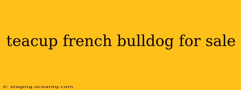 teacup french bulldog for sale