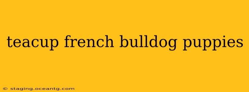 teacup french bulldog puppies