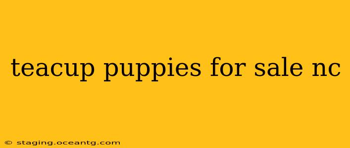 teacup puppies for sale nc