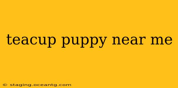 teacup puppy near me