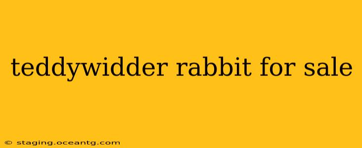 teddywidder rabbit for sale