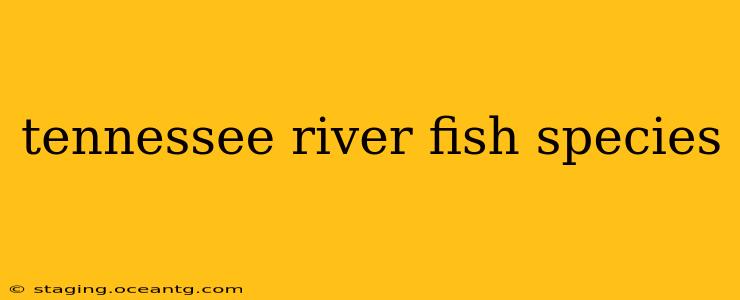 tennessee river fish species