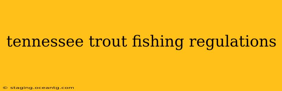 tennessee trout fishing regulations