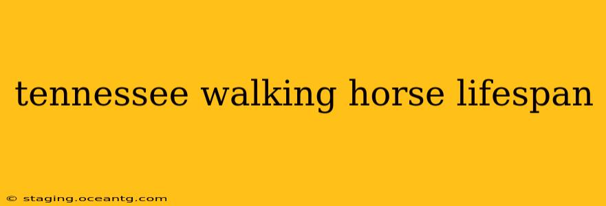 tennessee walking horse lifespan