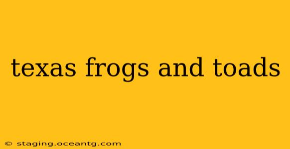 texas frogs and toads