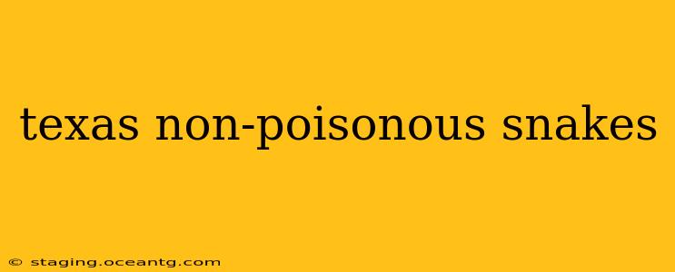 texas non-poisonous snakes