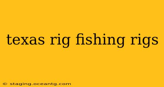texas rig fishing rigs