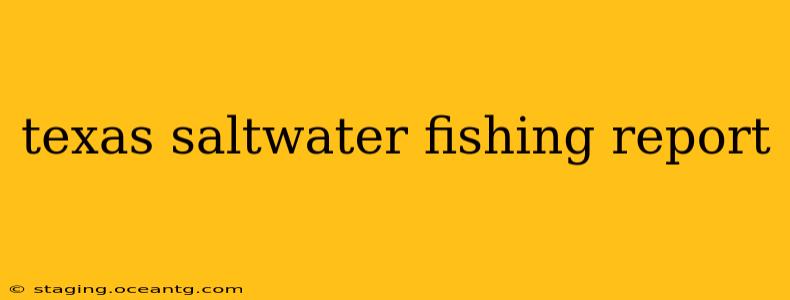 texas saltwater fishing report