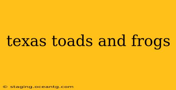 texas toads and frogs