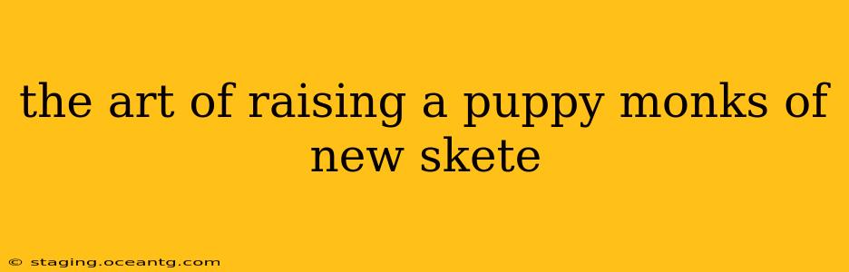 the art of raising a puppy monks of new skete