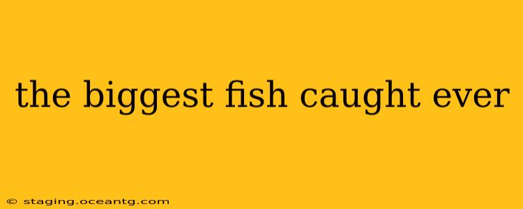 the biggest fish caught ever