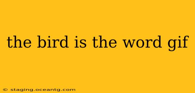 the bird is the word gif