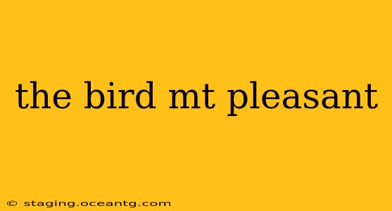 the bird mt pleasant