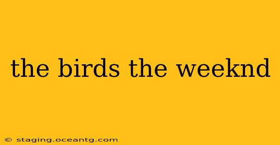 the birds the weeknd
