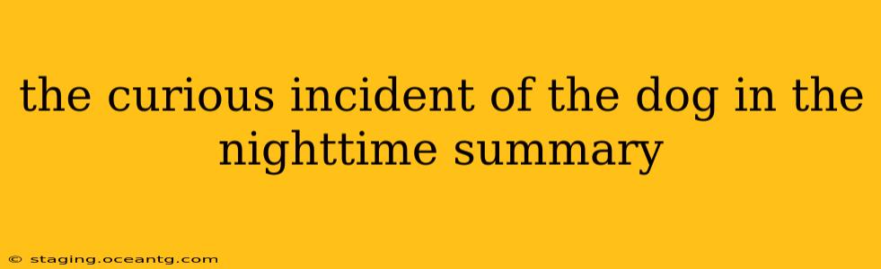 the curious incident of the dog in the nighttime summary