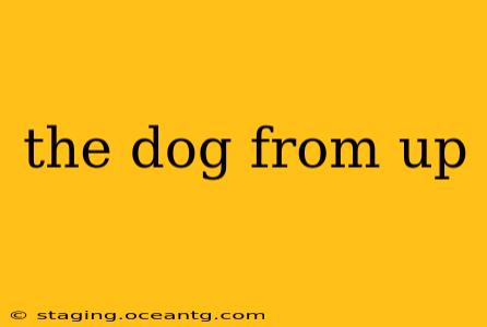 the dog from up