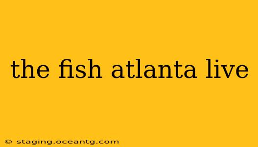 the fish atlanta live