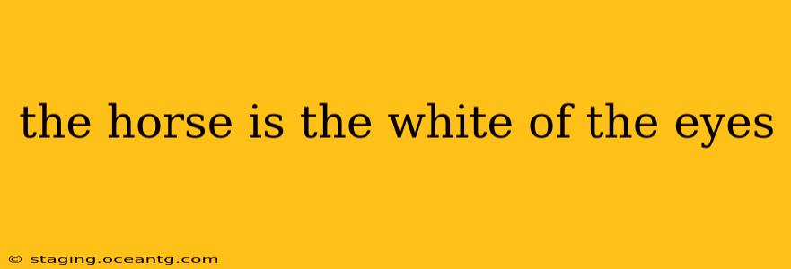 the horse is the white of the eyes