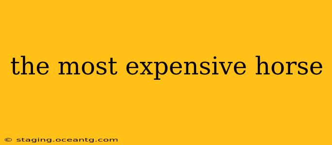 the most expensive horse