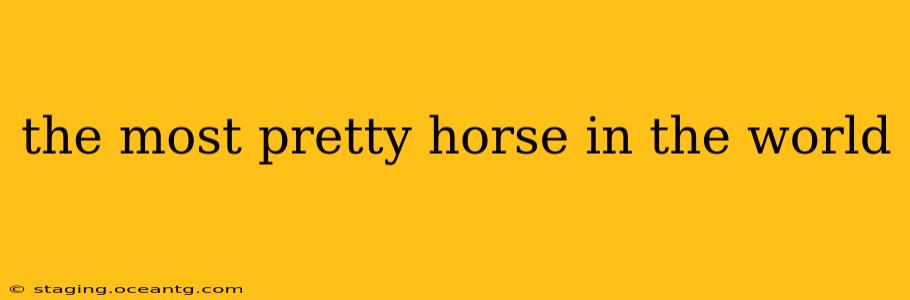 the most pretty horse in the world