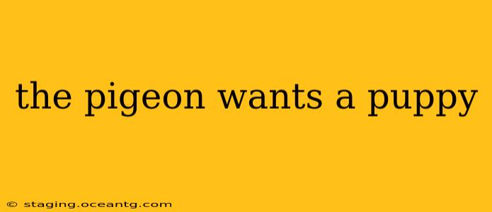 the pigeon wants a puppy