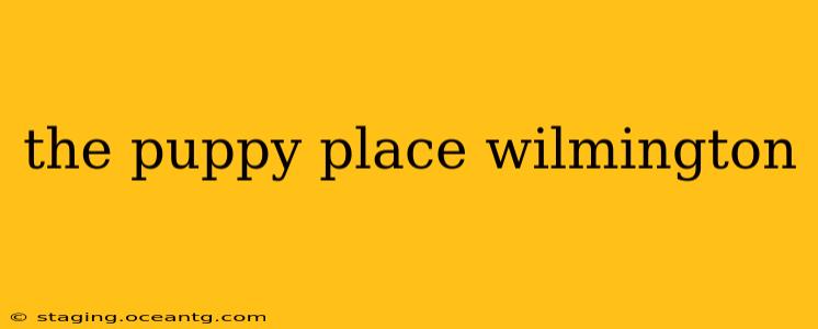 the puppy place wilmington