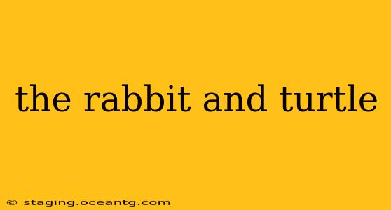 the rabbit and turtle