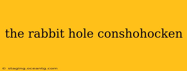 the rabbit hole conshohocken