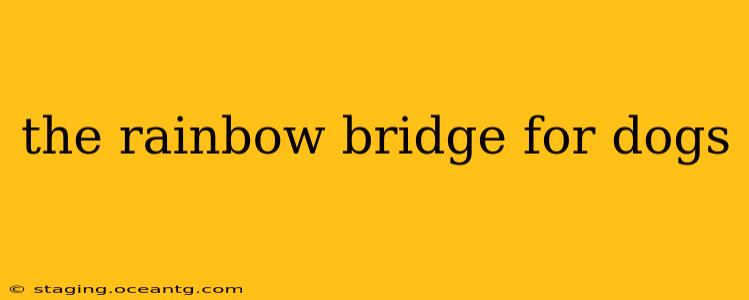 the rainbow bridge for dogs