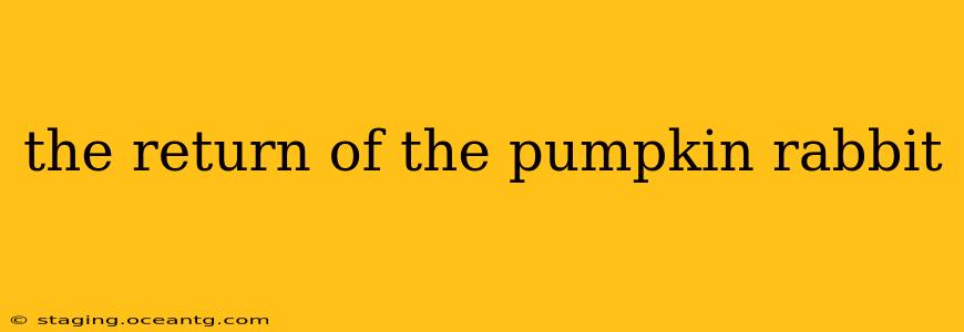the return of the pumpkin rabbit