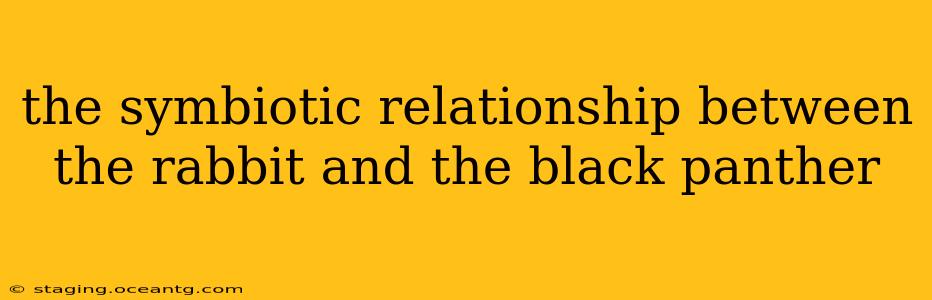 the symbiotic relationship between the rabbit and the black panther