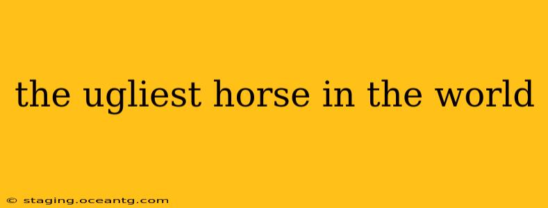 the ugliest horse in the world