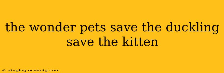 the wonder pets save the duckling save the kitten