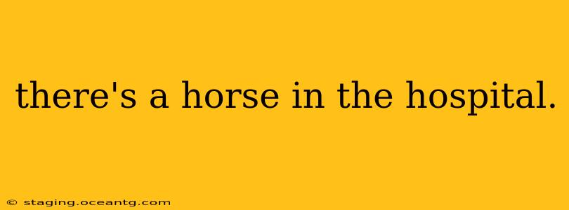 there's a horse in the hospital.