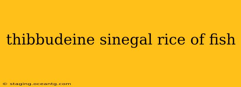 thibbudeine sinegal rice of fish