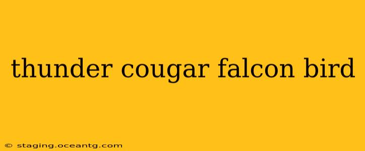 thunder cougar falcon bird