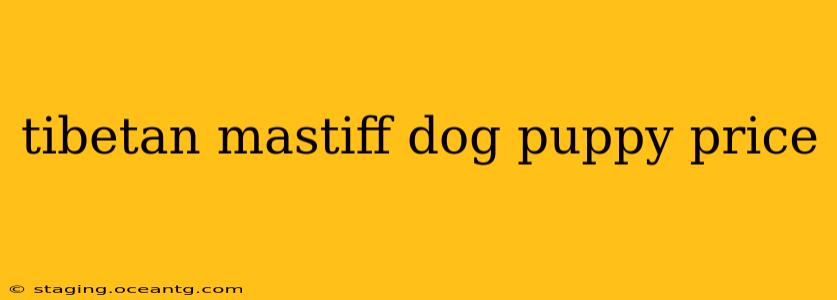 tibetan mastiff dog puppy price