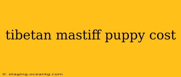 tibetan mastiff puppy cost
