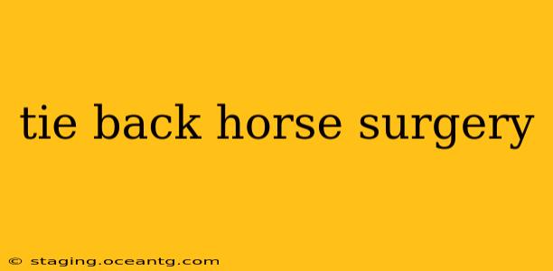 tie back horse surgery
