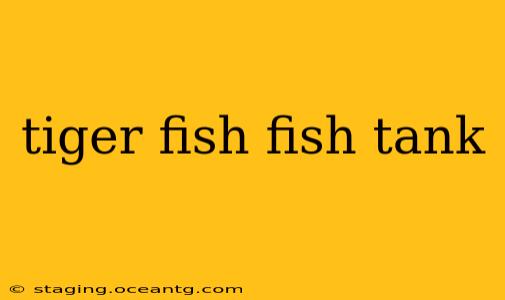 tiger fish fish tank