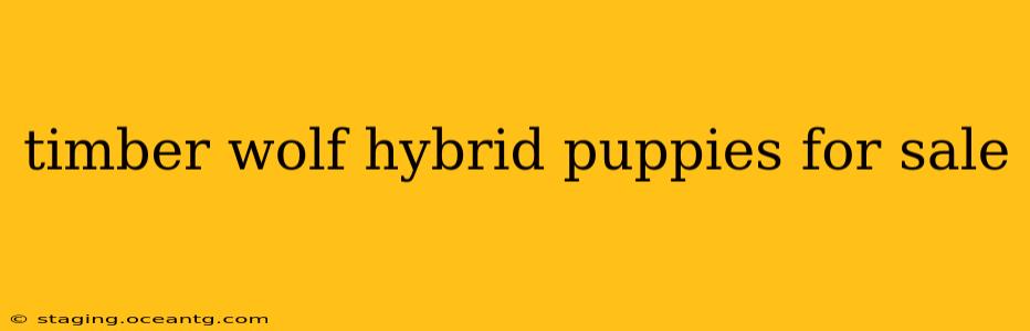 timber wolf hybrid puppies for sale