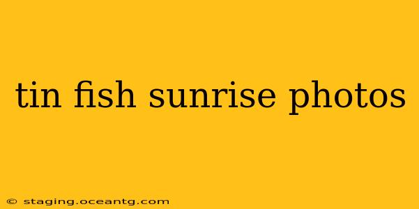 tin fish sunrise photos