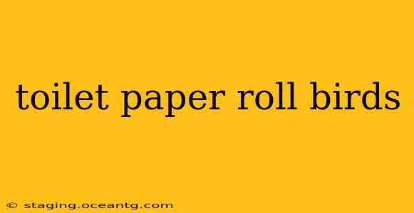 toilet paper roll birds
