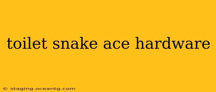 toilet snake ace hardware